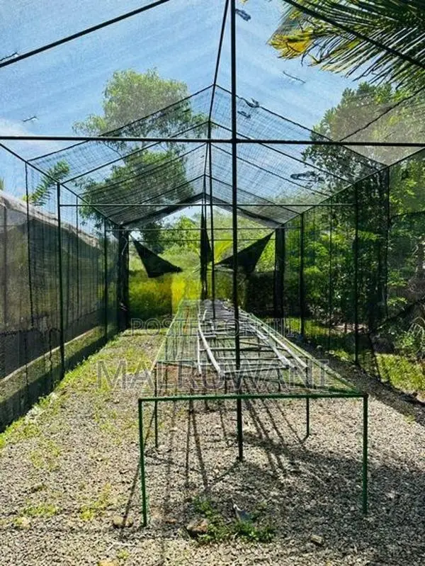 Orchid Net House