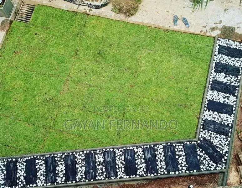 malaysian grass with interlock paving