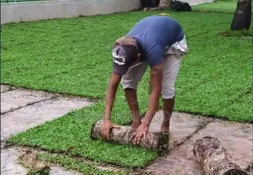 malaysian grass with interlock paving