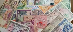 Old Notes