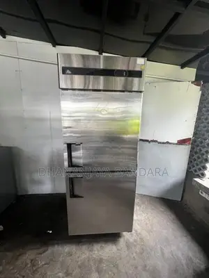 2 Door Upright Freezer