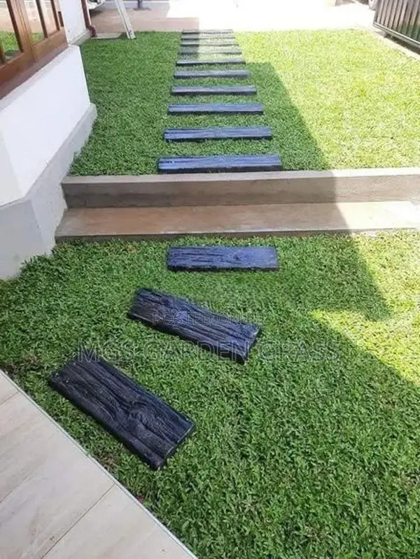 Malaysian Grass