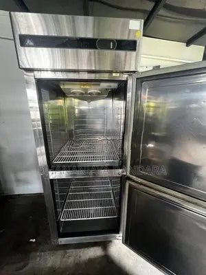 2 Door Upright Freezer
