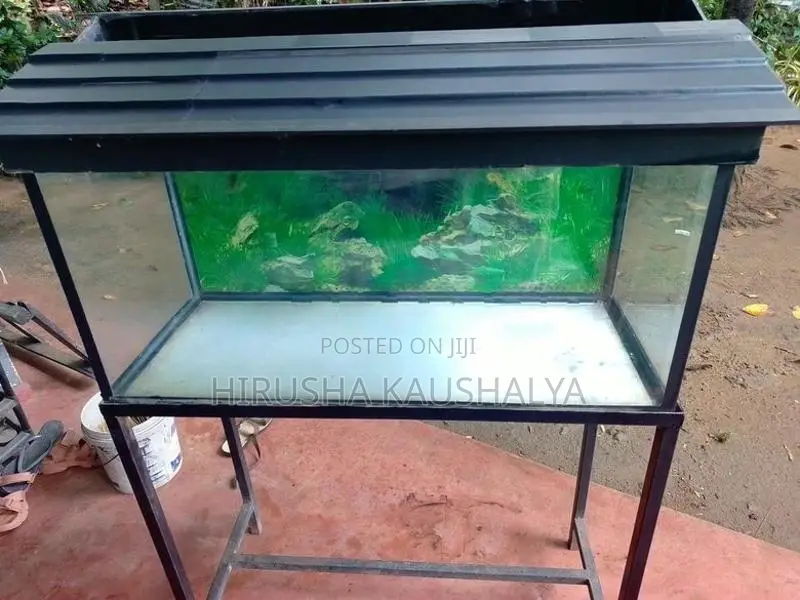 Full Set Fish Tank