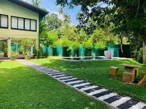 Malaysian Grass