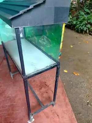 Full Set Fish Tank