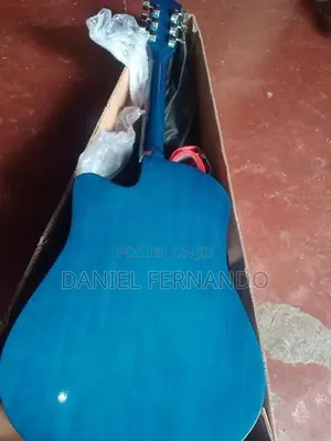 Guitar