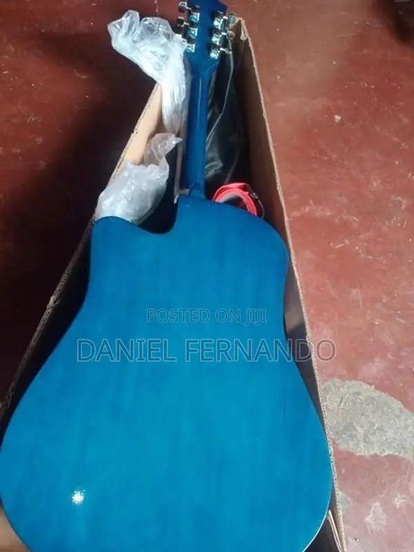 Guitar