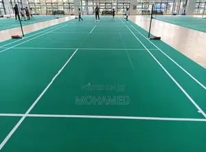 Badminton Carpet Indoor Turf and Nets