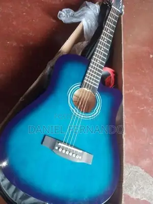 Guitar
