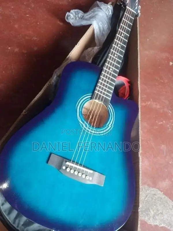 Guitar