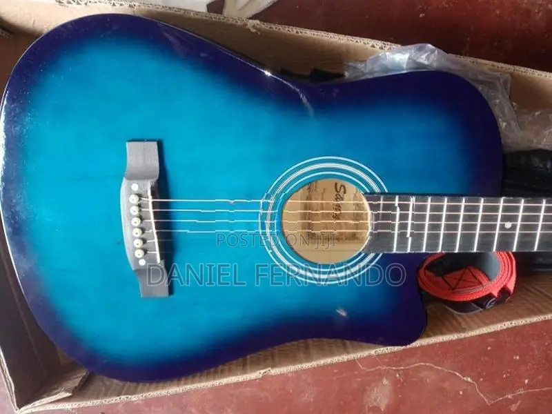 Guitar