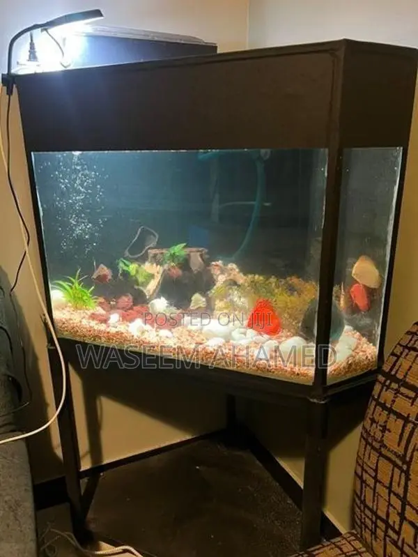 Fish tank