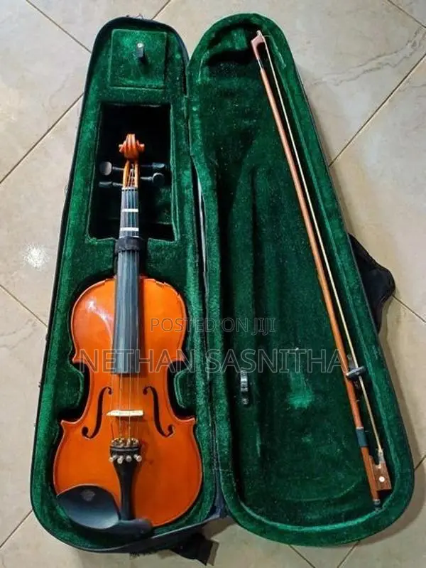 Violin