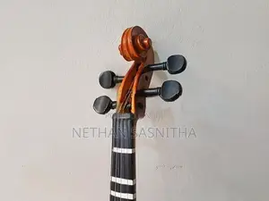 Violin