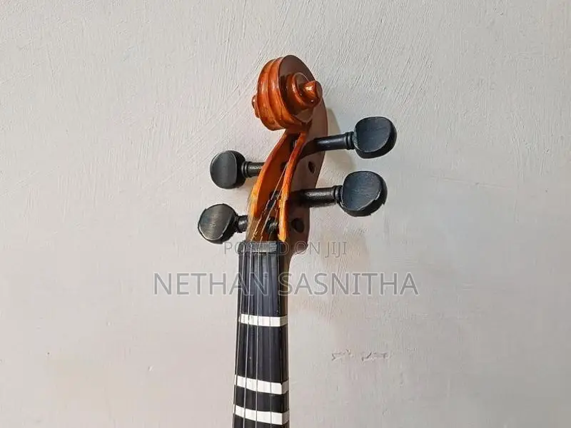 Violin
