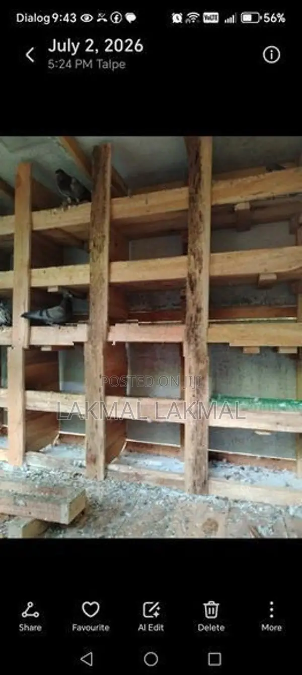 පරවි කූඩුව