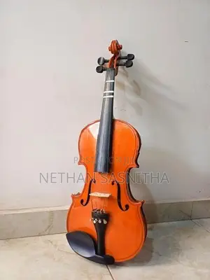 Violin