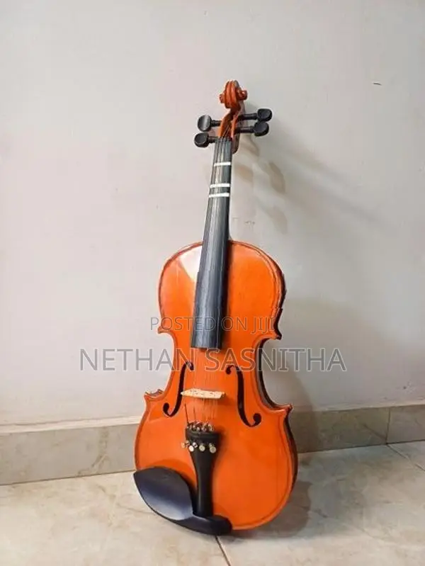 Violin