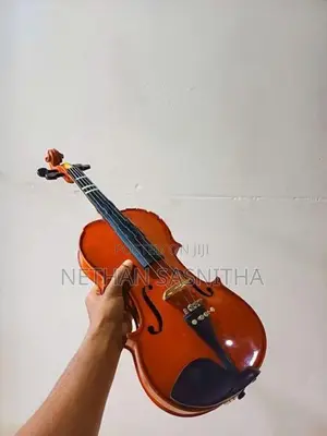 Violin