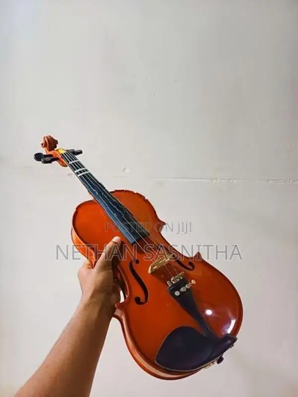 Violin
