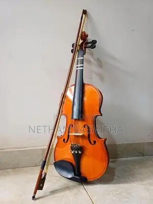 Violin