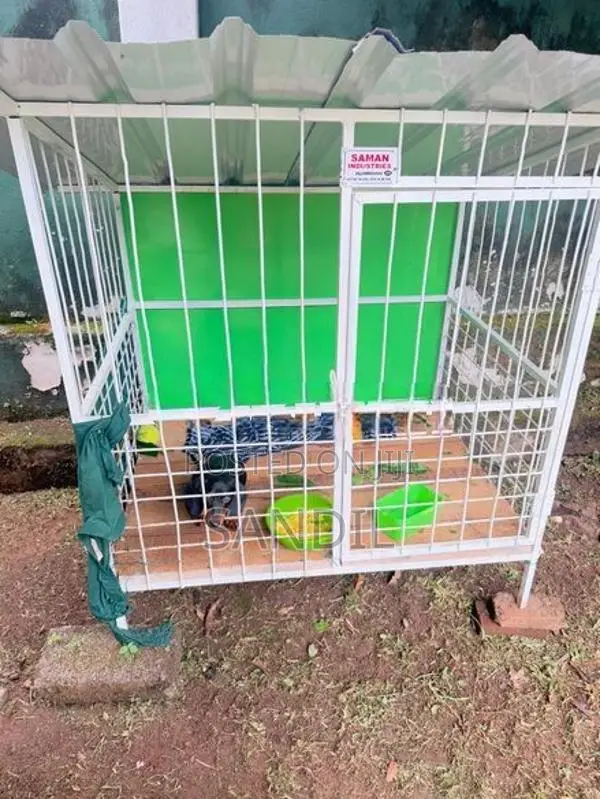 Dog Cage