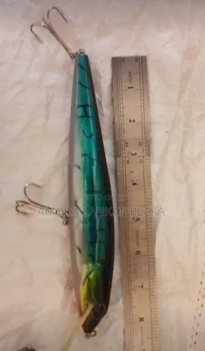 Fishing Lure
