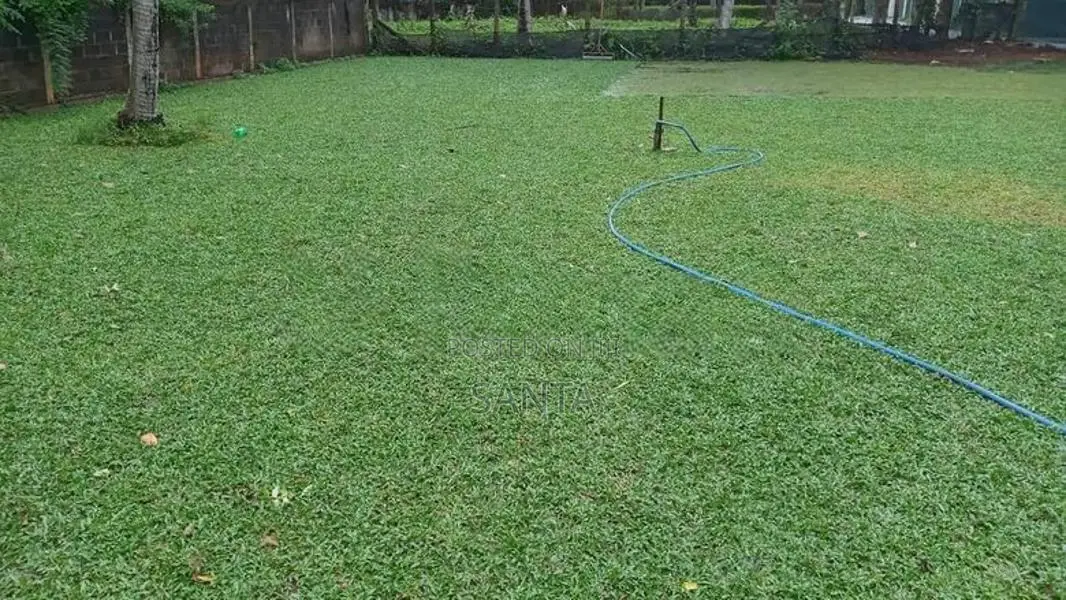 Interlock Paving with Malaysian Grass