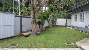 Malaysian Grass