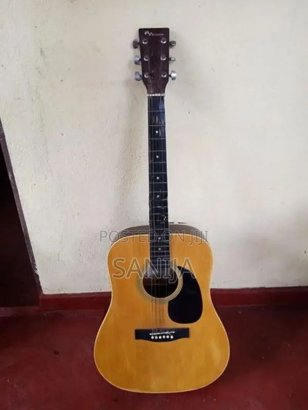 FV Stevens Box Guitar