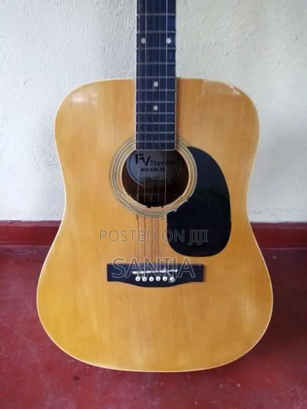 FV Stevens Box Guitar