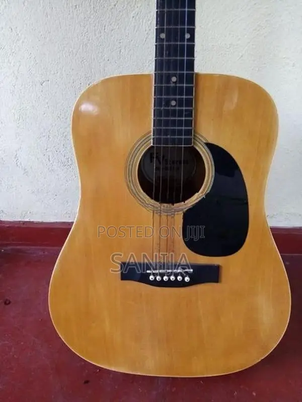 FV Stevens Box Guitar