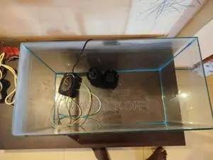 Fish Tank
