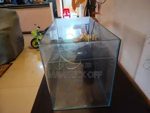 Fish Tank