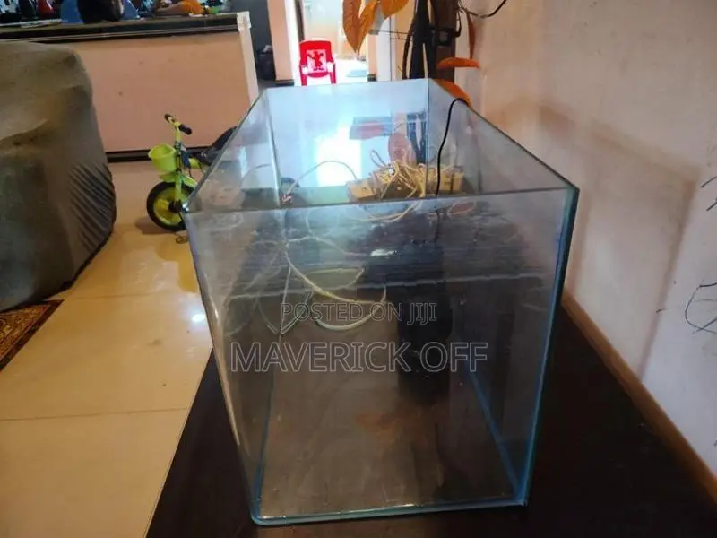 Fish Tank