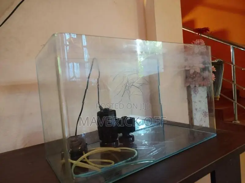 Fish Tank