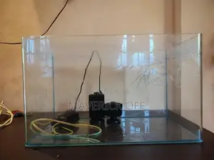 Fish Tank