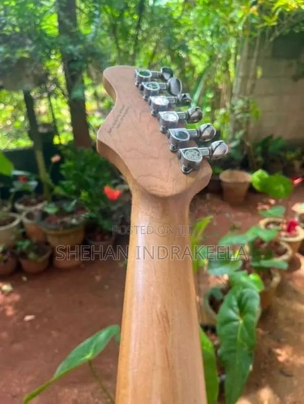 Lead Guitar (Electric Guitar)