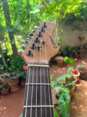 Lead Guitar (Electric Guitar)