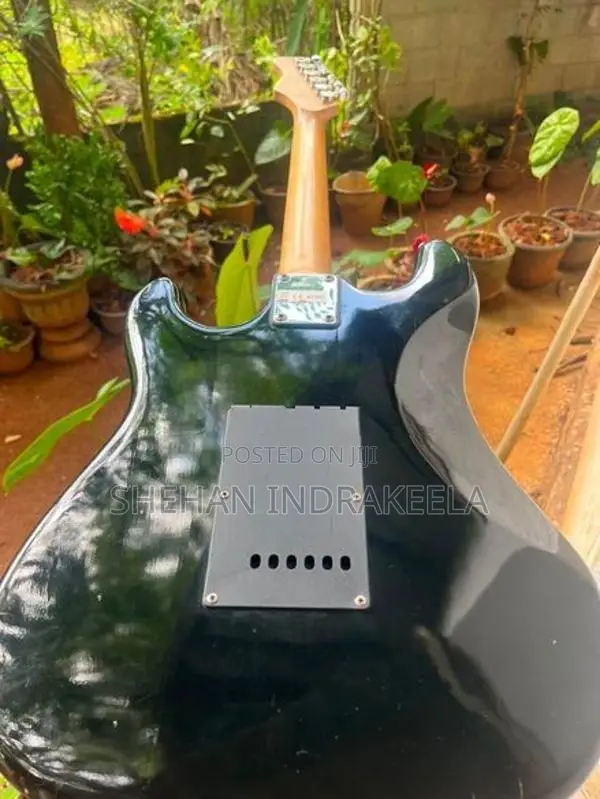 Lead Guitar (Electric Guitar)