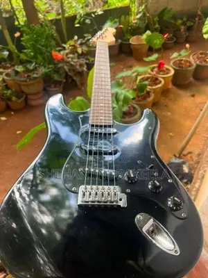 Lead Guitar (Electric Guitar)