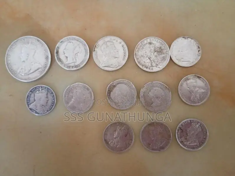 Silver Coins Set
