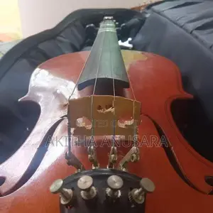 VIOLIN