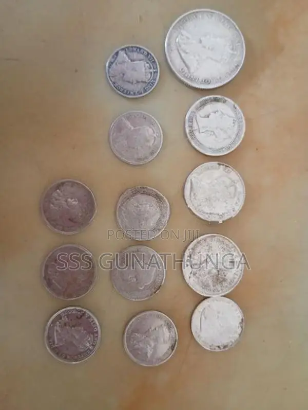 Silver Coins Set