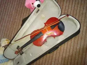 violin