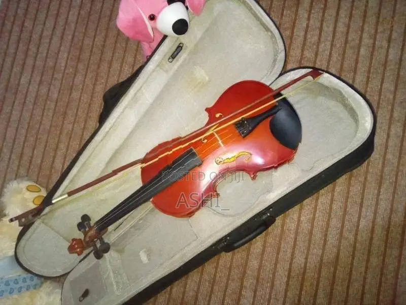 violin