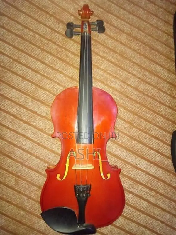 violin