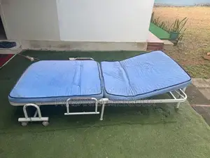 Hospital Electric Bed with Mattress