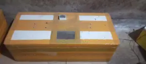 Egg Incubator